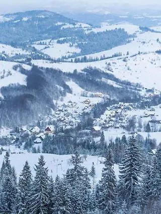 у коса